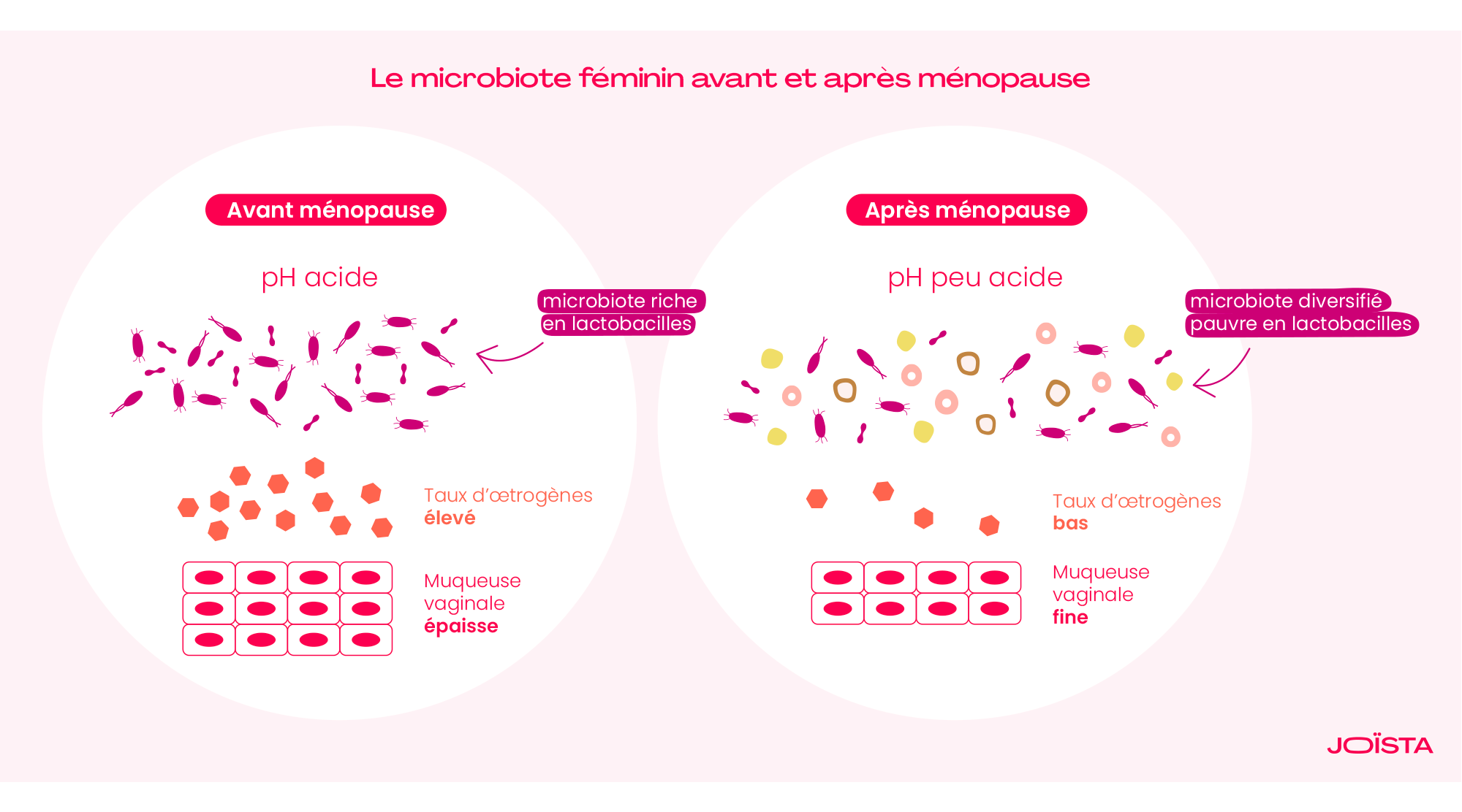 Schéma Le microbiote féminin avant et après ménopause