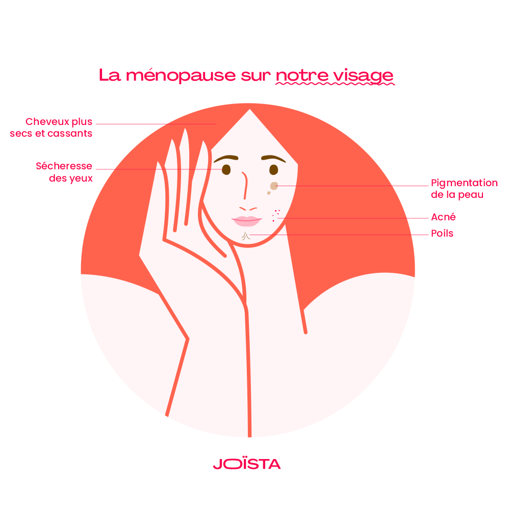 Schéma d'une femme pour montrer les effets de la ménopause sur le visage