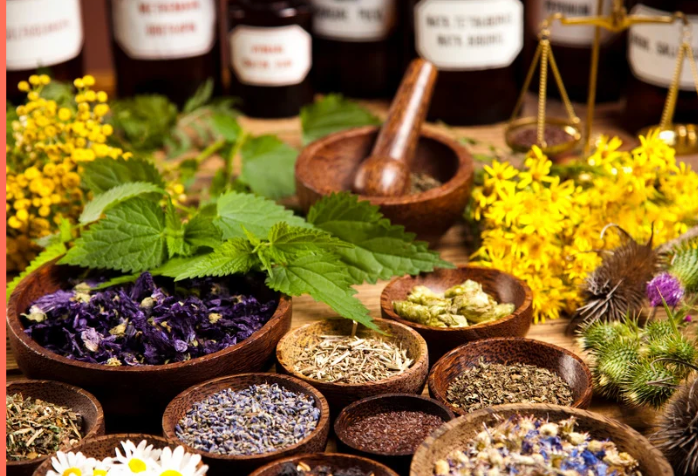 Meilleures plantes ménopause : guide pour bien choisir