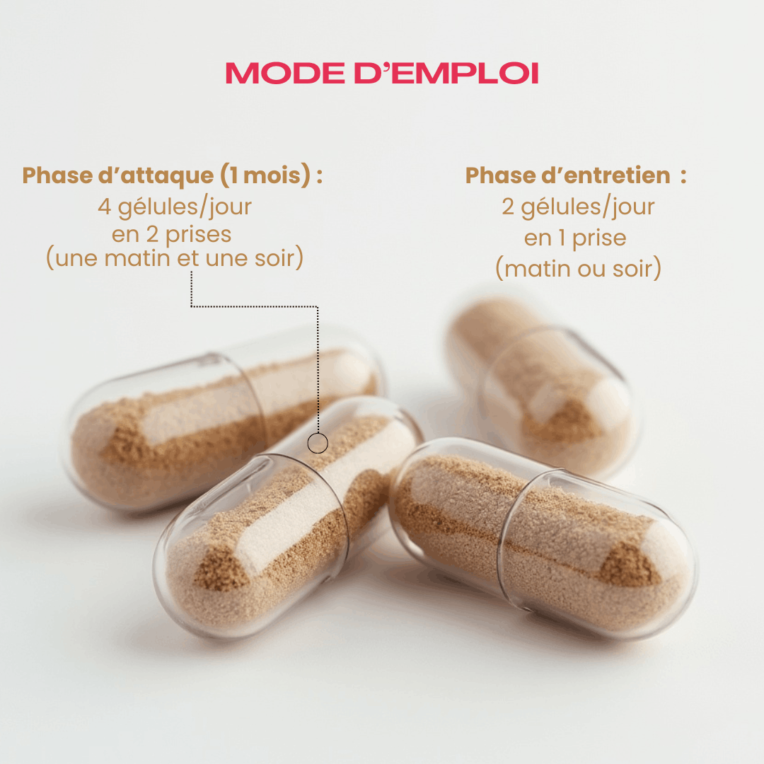 Mode d'emploi Flex Active