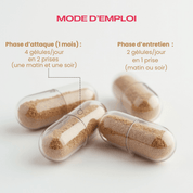 Mode d'emploi Flex Active