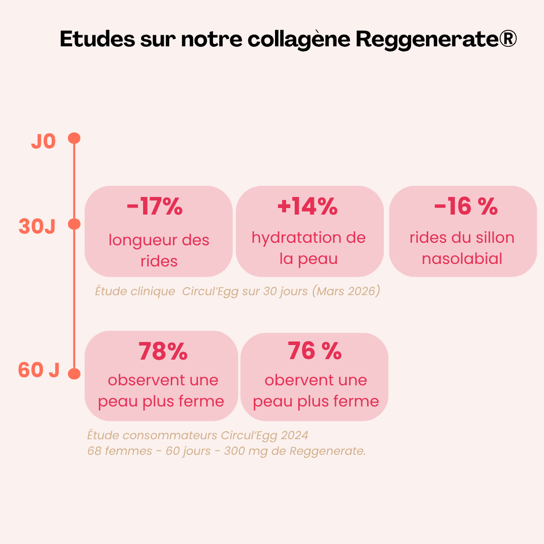 reggenerate_etude_1.png