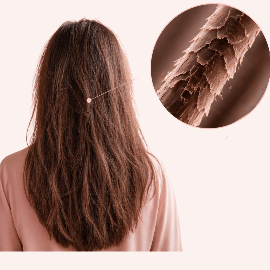 Zoom sur des cheveux de femmes